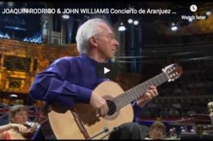 The guitarist John Williams is playing Rodrigo's Concierto de Aranjuez famous second movement, Adagio