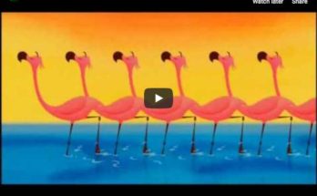 From Disney's Fantasia 2000, Saint-Saens's The Carnival of the Animals, 14th and last piece