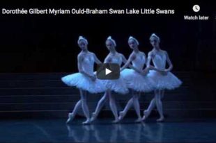 Tchaikovsky - Swan Lake - Danse Des Petits Cygnes