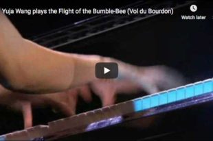 Yuja Wang is playing Cziffra's transcription for piano of Rimsky-Korsakov's Flight of the Bumblebee