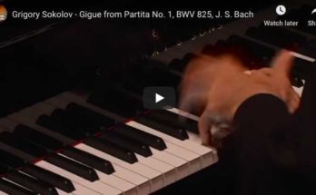Bach - Gigue from Partita No 1, BWV 825 - Sokolov, Piano
