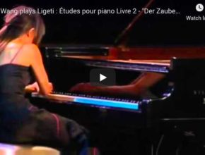 Ligeti - Etude 10, Der Zauberlehrling (The Sorcerer's Apprentice) - Wang, Piano