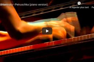 Stravinsky - Trois Mouvements de Petrushka - Wang, Piano