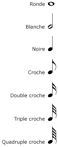 Les différentes figures de note: la ronde, la blanche, la noire, la croche, la double croche, la triple croche, la quadruple croche.