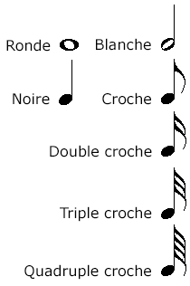 Les 7 figures de note: la ronde, la blanche, la noire, la croche, la double croche, la triple croche, la quadruple croche.