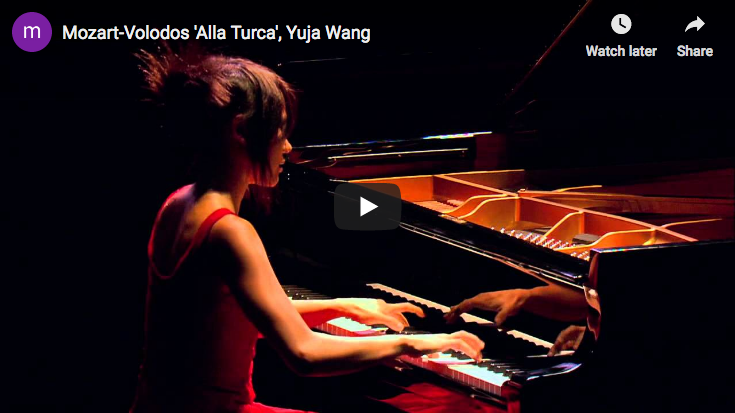 Chopin Valse No 6 Du Petit Chien Wang Piano Happy